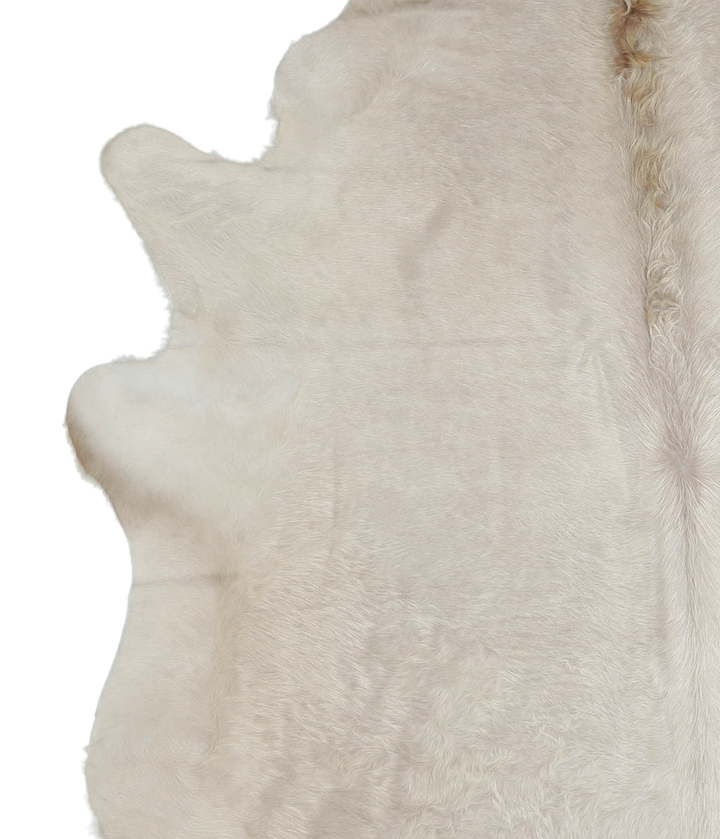 Champagne X-Large Brazilian Cowhide Rug 6'10"H x 6'9"W #A20929 by Hudson Hides