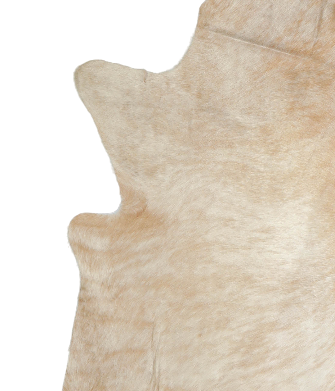 Beige X-Large Brazilian Cowhide Rug 7'4"H x 6'5"W #A20939 by Hudson Hi
