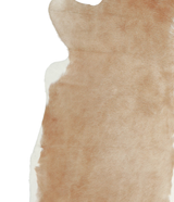 Beige and White X-Large Brazilian Cowhide Rug 6'9"H x 6'6"W #A20942 by Hudson Hides
