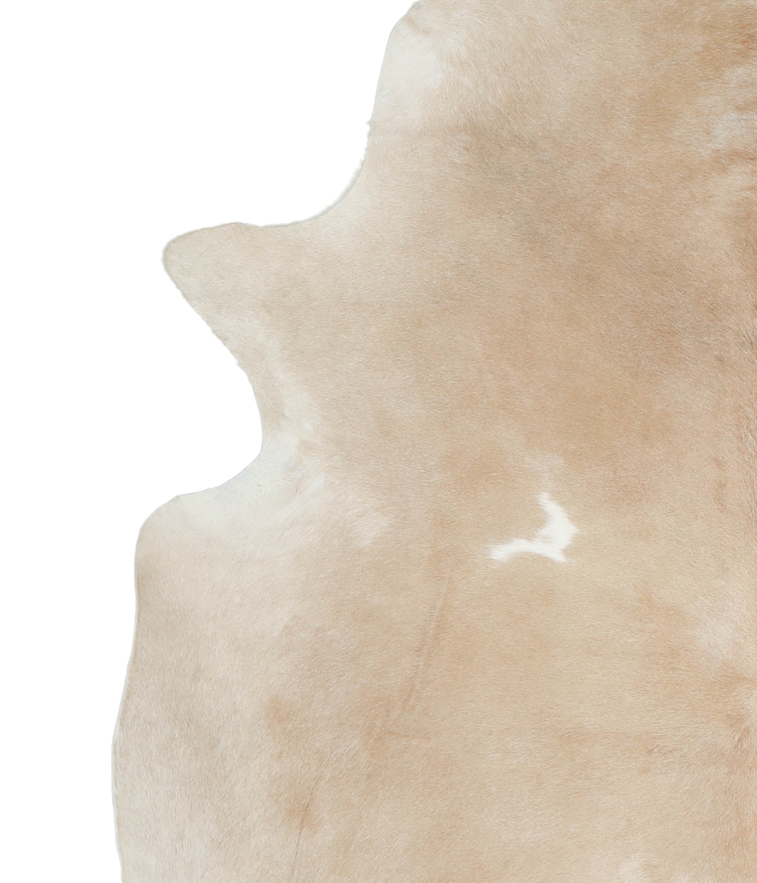 Beige and White XX-Large Brazilian Cowhide Rug 8'1"H x 6'9"W #A20944 b