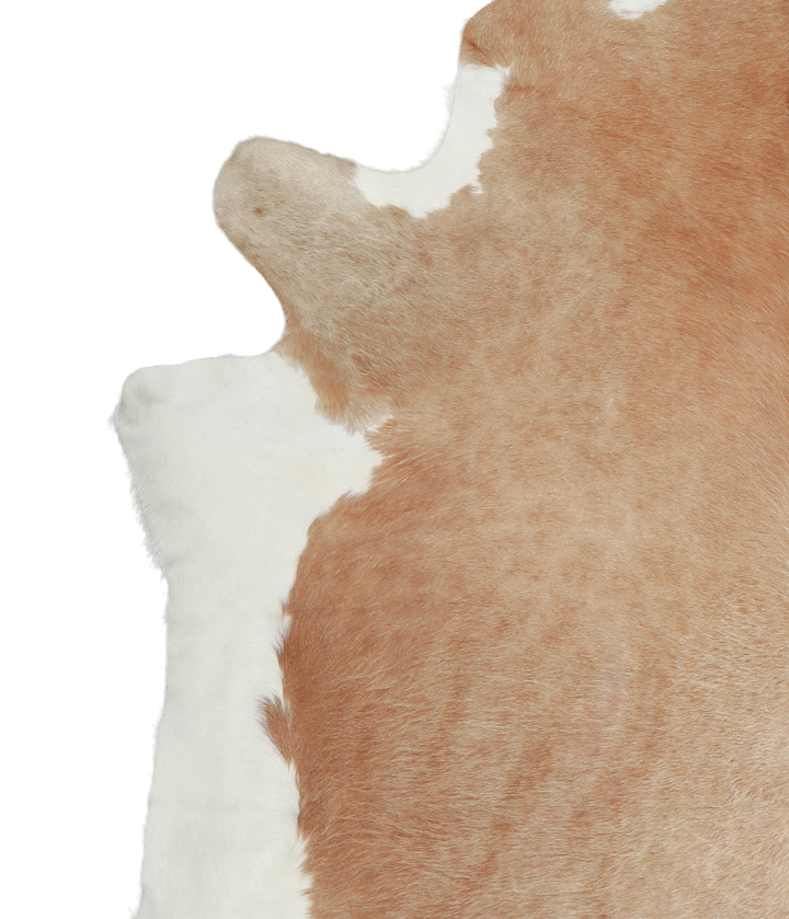 Beige and White XX-Large Brazilian Cowhide Rug 8'4"H x 7'7"W #A20948 by Hudson Hides