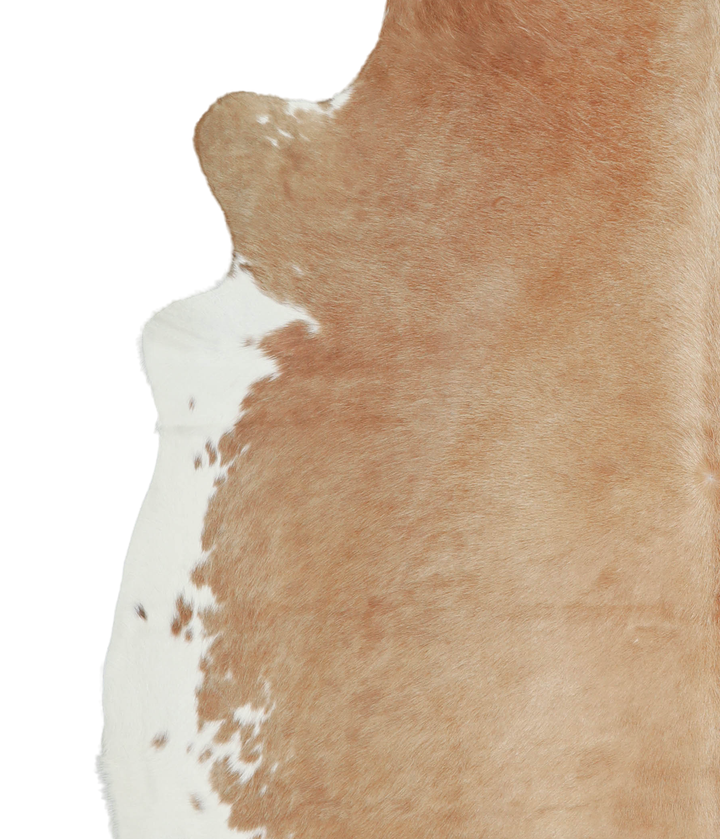 Beige and White XX-Large Brazilian Cowhide Rug 7'8"H x 7'4"W #A20949 by Hudson Hides
