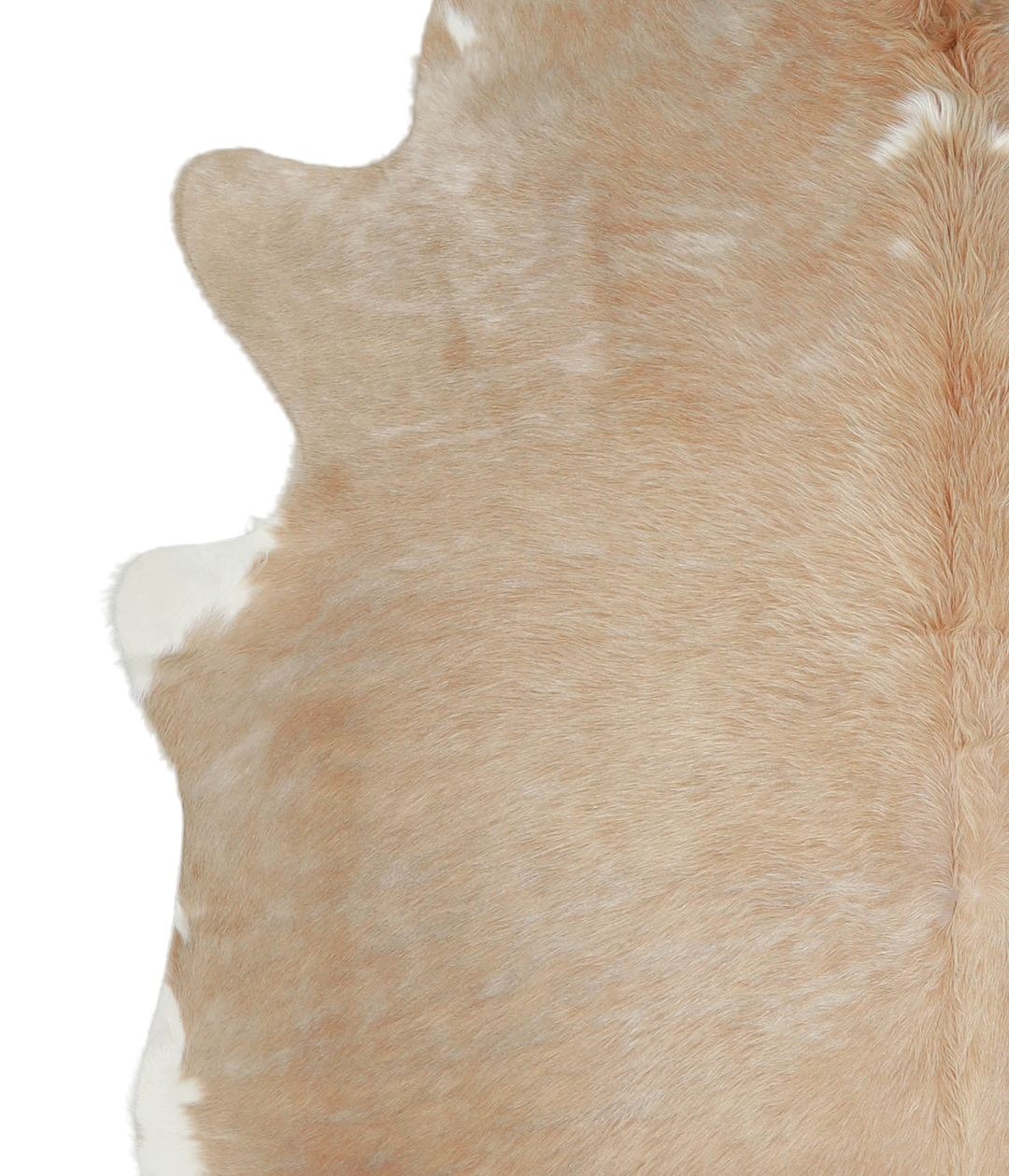 Beige X-Large Brazilian Cowhide Rug 7'2"H x 6'8"W #A20964 by Hudson Hi