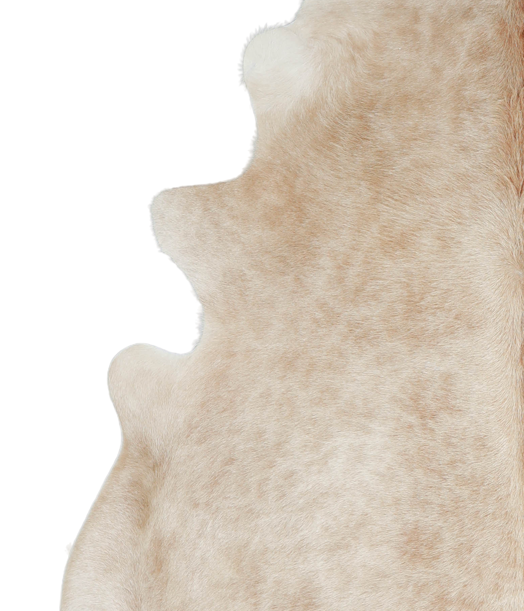 Beige X-Large Brazilian Cowhide Rug 7'6"H x 6'4"W #A20965 by Hudson Hi