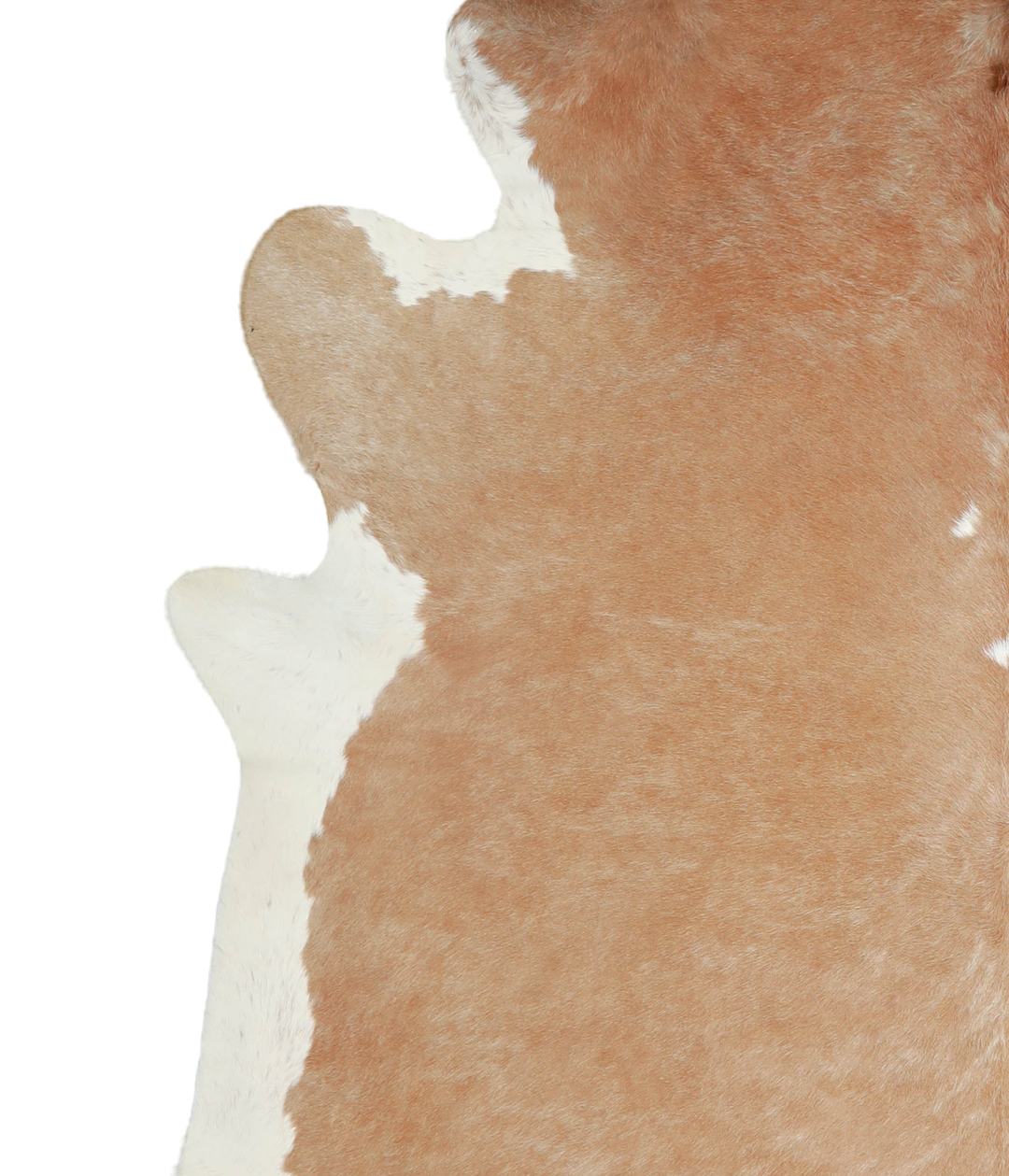 Beige and White XX-Large Brazilian Cowhide Rug 8'7"H x 7'7"W #A20975 b