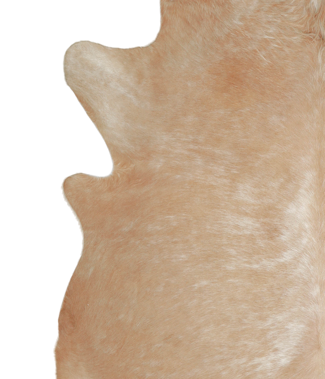 Beige XX-Large Brazilian Cowhide Rug 8'1"H x 7'8"W #A20986 by Hudson H
