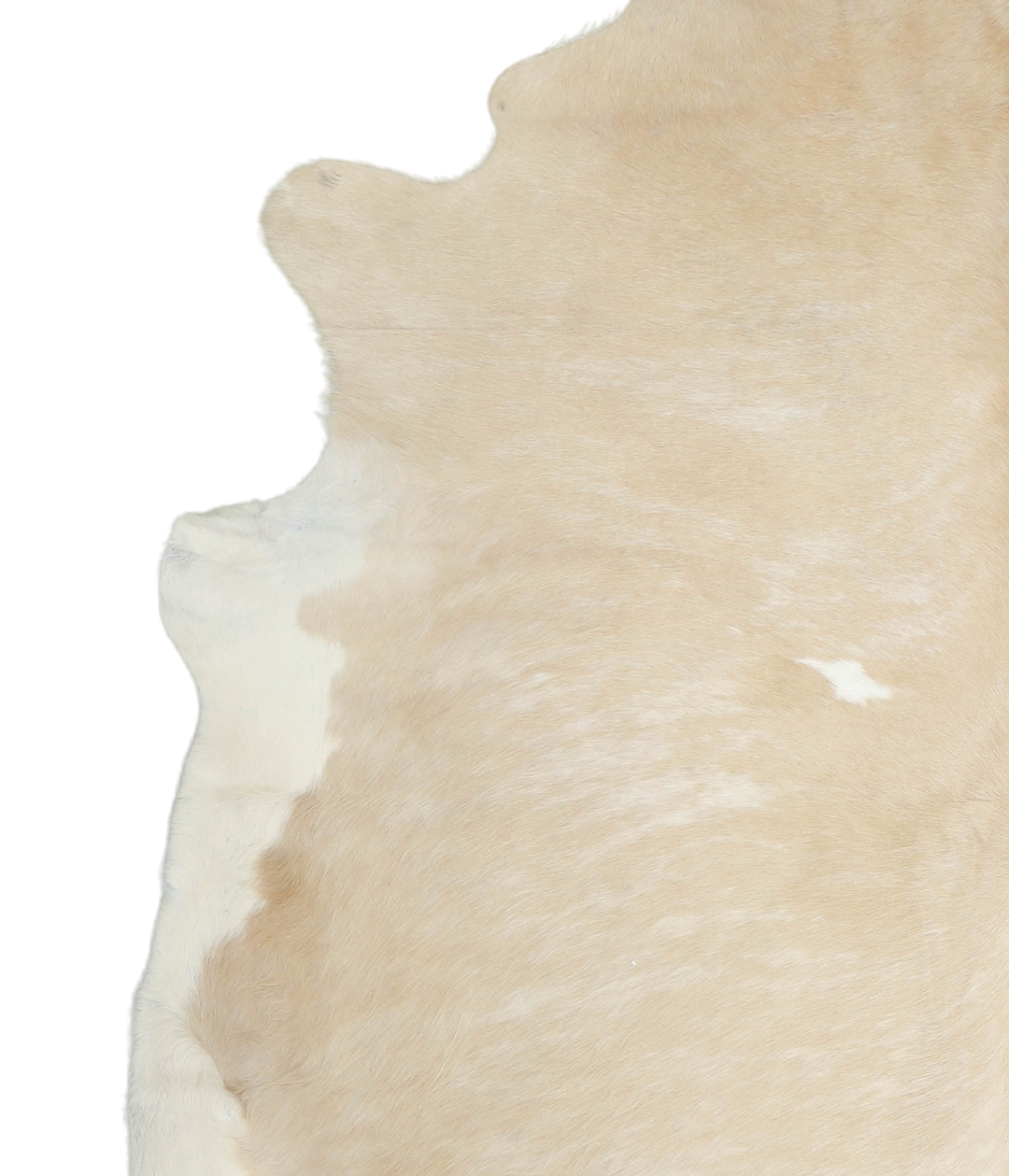 Beige and White XX-Large Brazilian Cowhide Rug 8'4"H x 7'4"W #A20989 b
