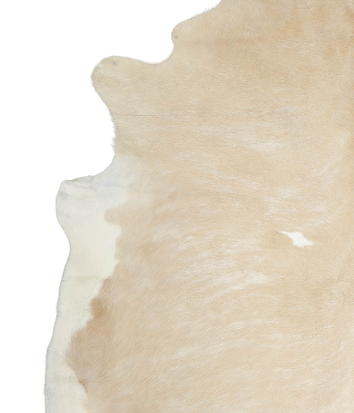 Beige and White XX-Large Brazilian Cowhide Rug 8'4"H x 7'4"W #A20989 by Hudson Hides