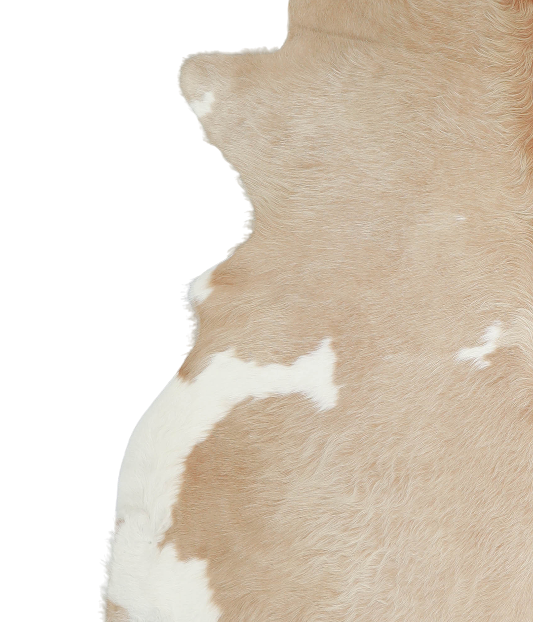 Beige and White XX-Large Brazilian Cowhide Rug 7'2"H x 7'0"W #A20992 b