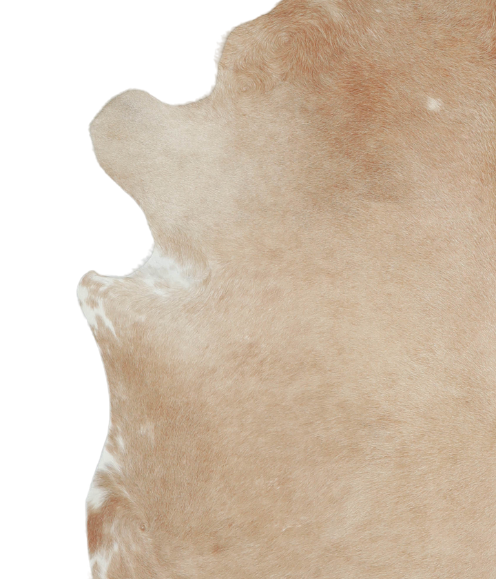 Beige XX-Large Brazilian Cowhide Rug 7'4"H x 6'10"W #A21008 by Hudson Hides