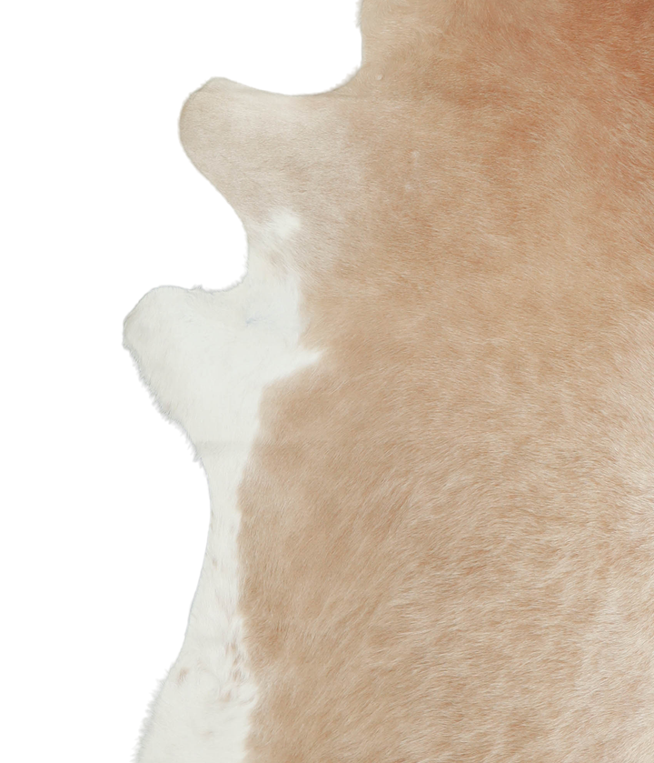 Beige and White XX-Large Brazilian Cowhide Rug 7'7"H x 6'10"W #A21009 by Hudson Hides