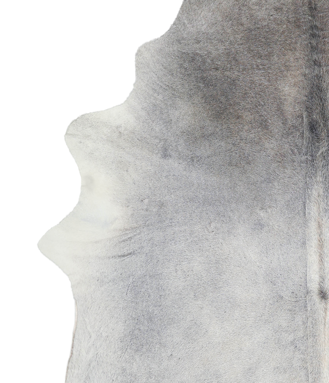 Medium Grey XX-Large Brazilian Cowhide Rug 8'3"H x 7'3"W #A21013 by Hu