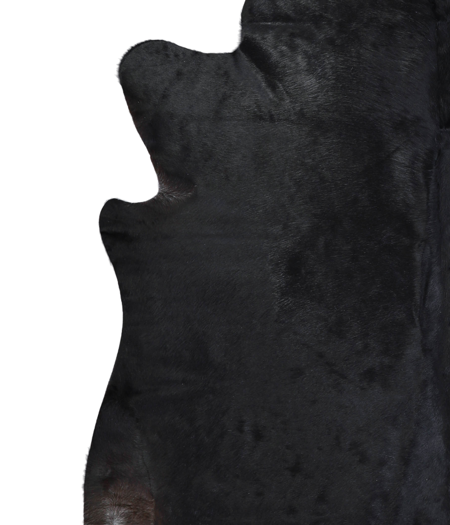 Solid Black Cowhide Rug #A21015