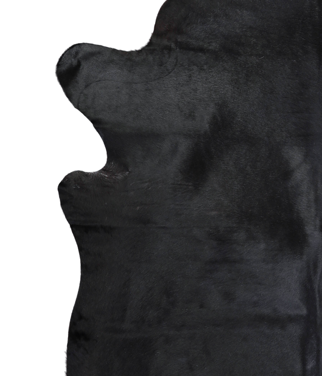 Solid Black XX-Large Brazilian Cowhide Rug 7'11"H x 6'10"W #A21016 by 