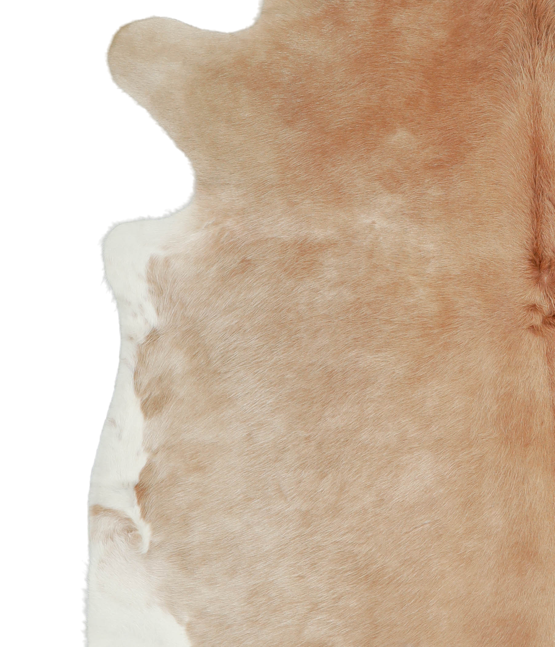 Beige XX-Large Brazilian Cowhide Rug 7'8"H x 7'4"W #A21022 by Hudson H