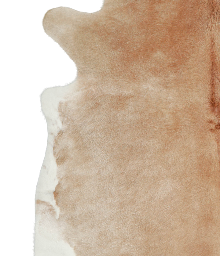 Beige XX-Large Brazilian Cowhide Rug 7'8"H x 7'4"W #A21022 by Hudson Hides