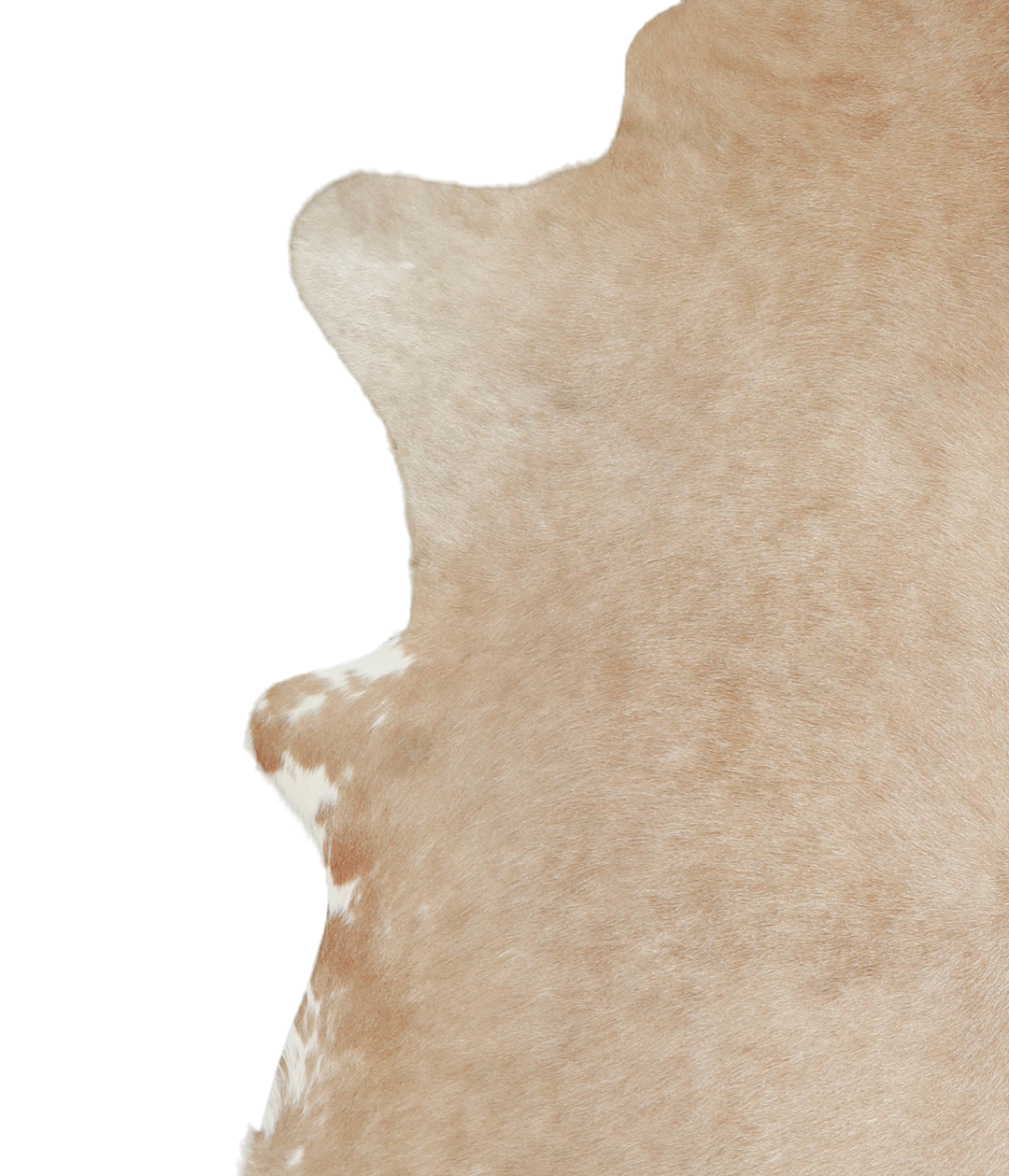 Beige XX-Large Brazilian Cowhide Rug 7'8"H x 6'10"W #A21026 by Hudson 