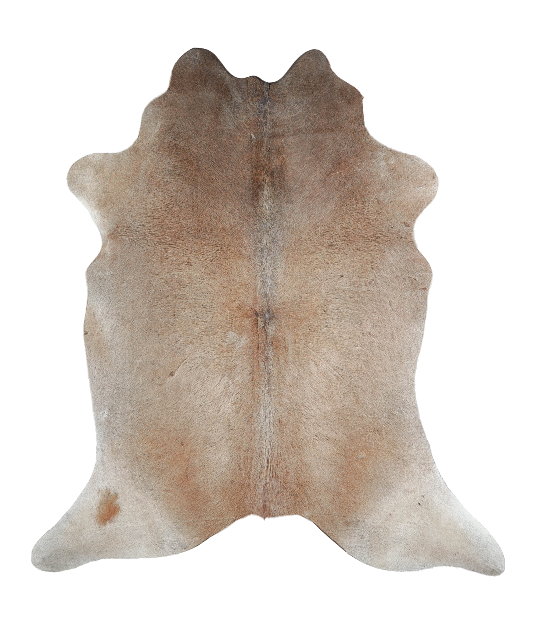 Grey with Beige Cowhide Rug #A21032
