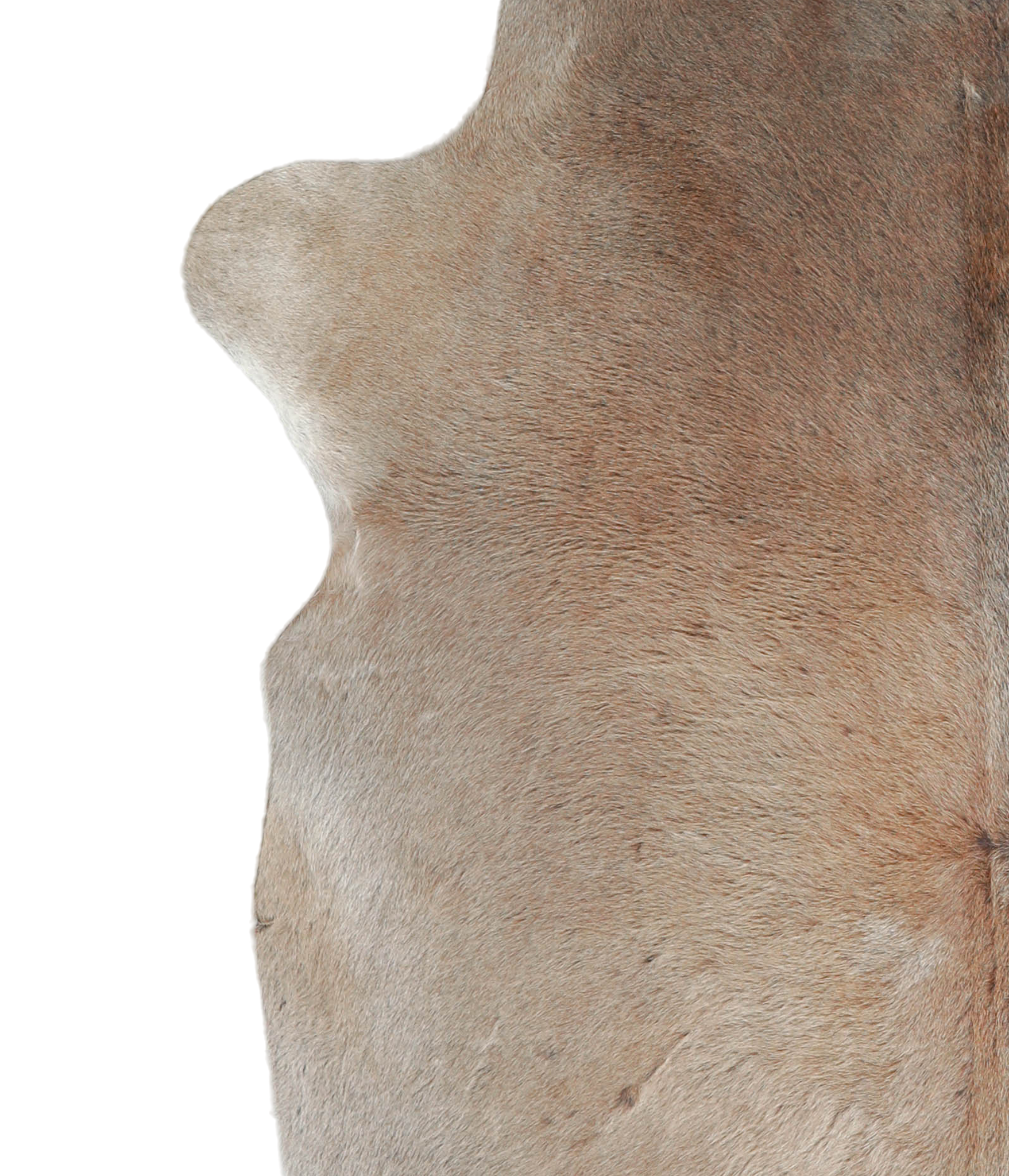 Grey with Beige Cowhide Rug #A21032