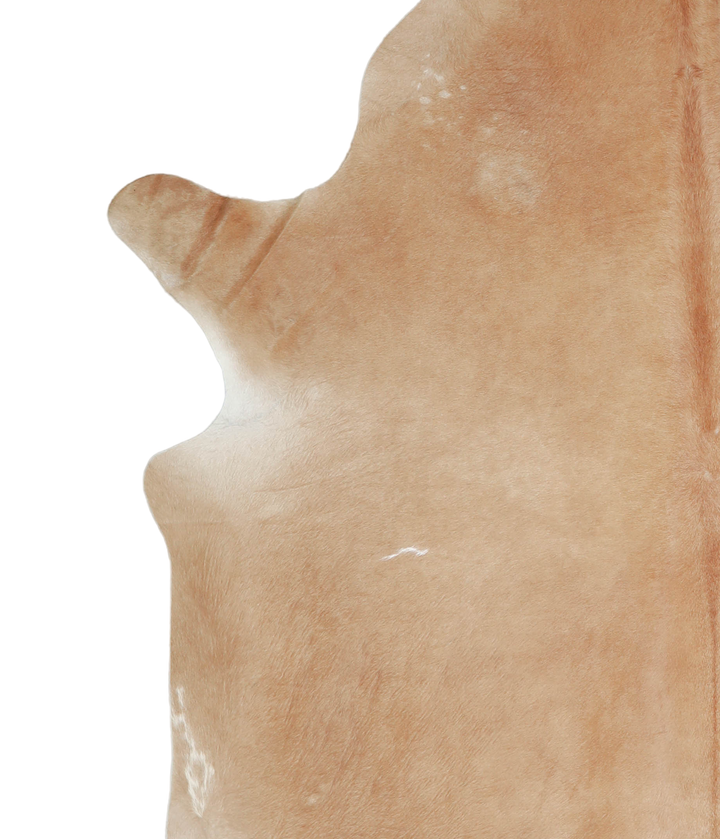 Beige XX-Large Brazilian Cowhide Rug 8'8"H x 7'6"W #A21034 by Hudson Hides