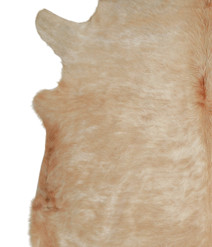 Beige XX-Large Brazilian Cowhide Rug 7'4"H x 7'5"W #A21036 by Hudson Hides