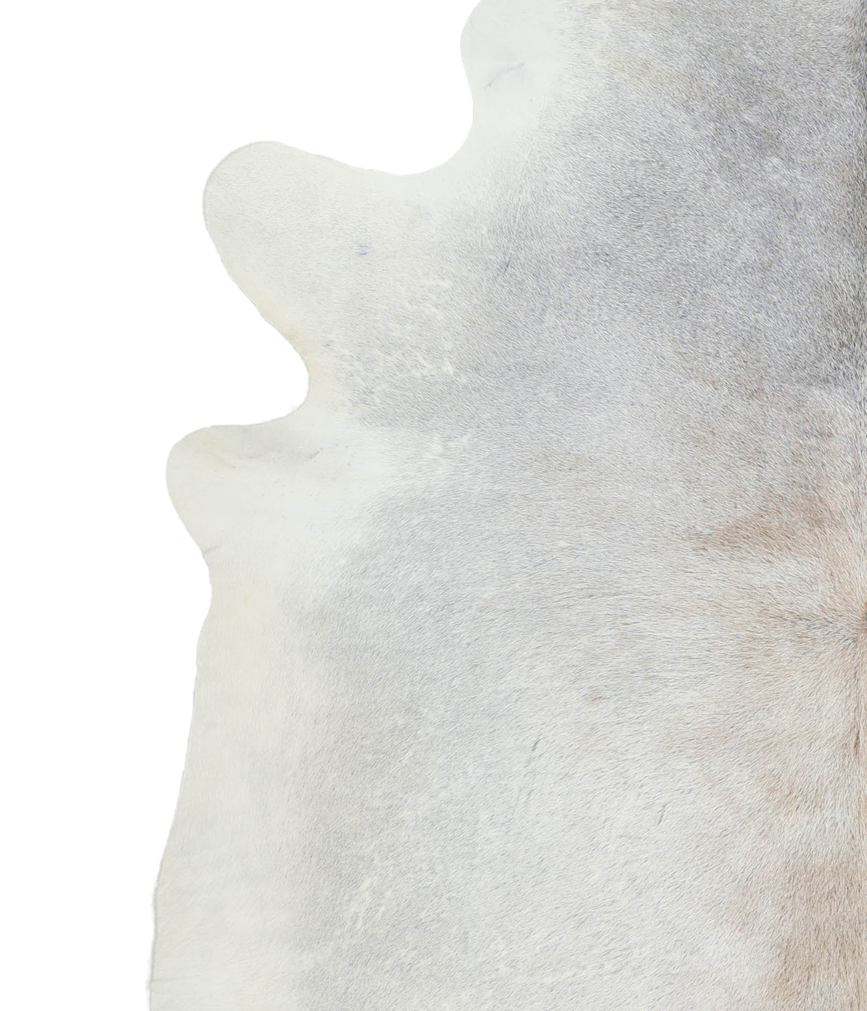 Grey with Beige Cowhide Rug #A21048