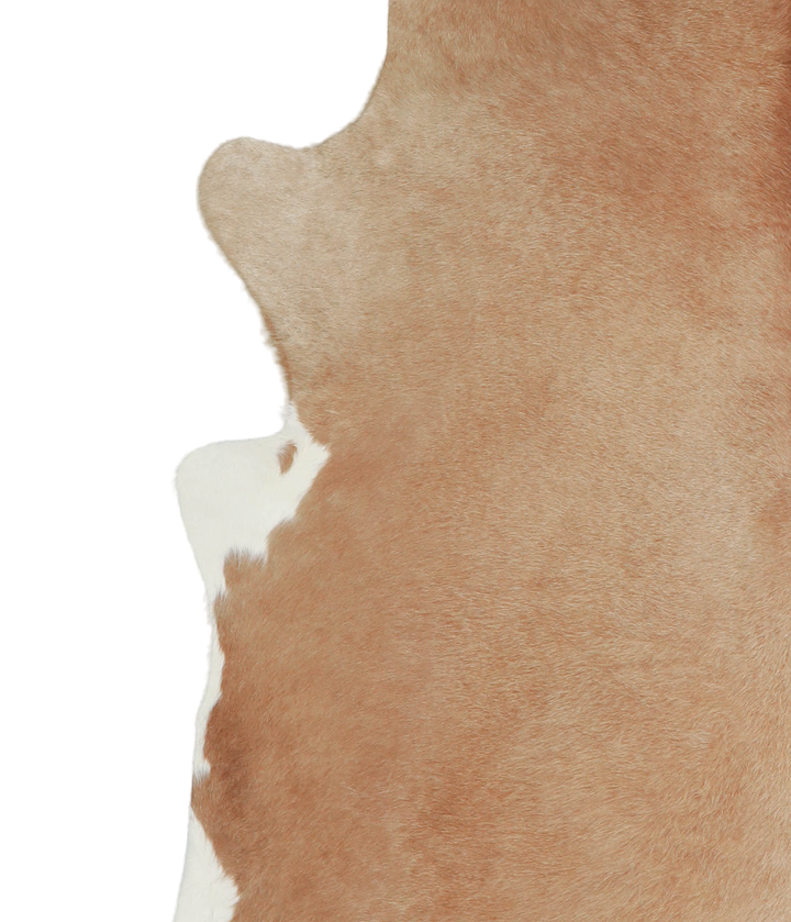 Beige X-Large Brazilian Cowhide Rug 7'3"H x 6'5"W #A21050 by Hudson Hides