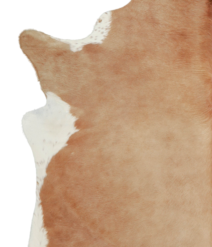 Beige X-Large Brazilian Cowhide Rug 7'3"H x 6'5"W #A21055 by Hudson Hides