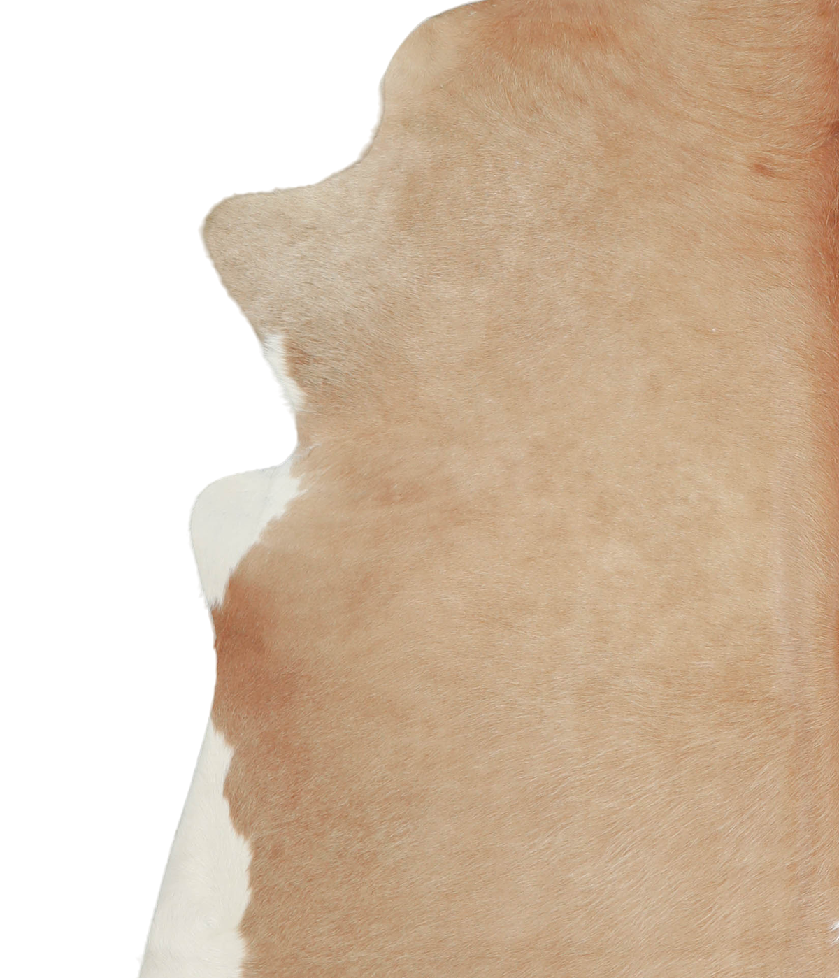 Beige and White X-Large Brazilian Cowhide Rug 7'1"H x 6'9"W #A21056 by Hudson Hides