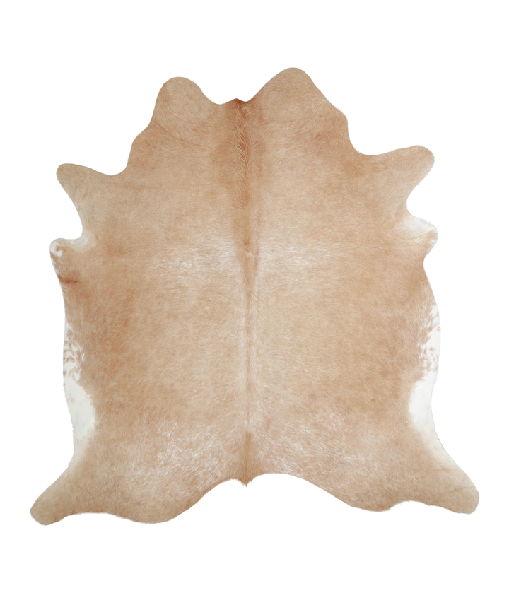 Beige XX-Large Brazilian Cowhide Rug 7'5"H x 7'3"W #A21060 by Hudson Hides