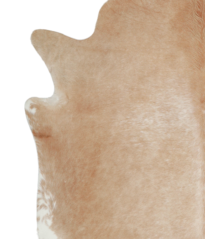 Beige XX-Large Brazilian Cowhide Rug 7'5"H x 7'3"W #A21060 by Hudson Hides