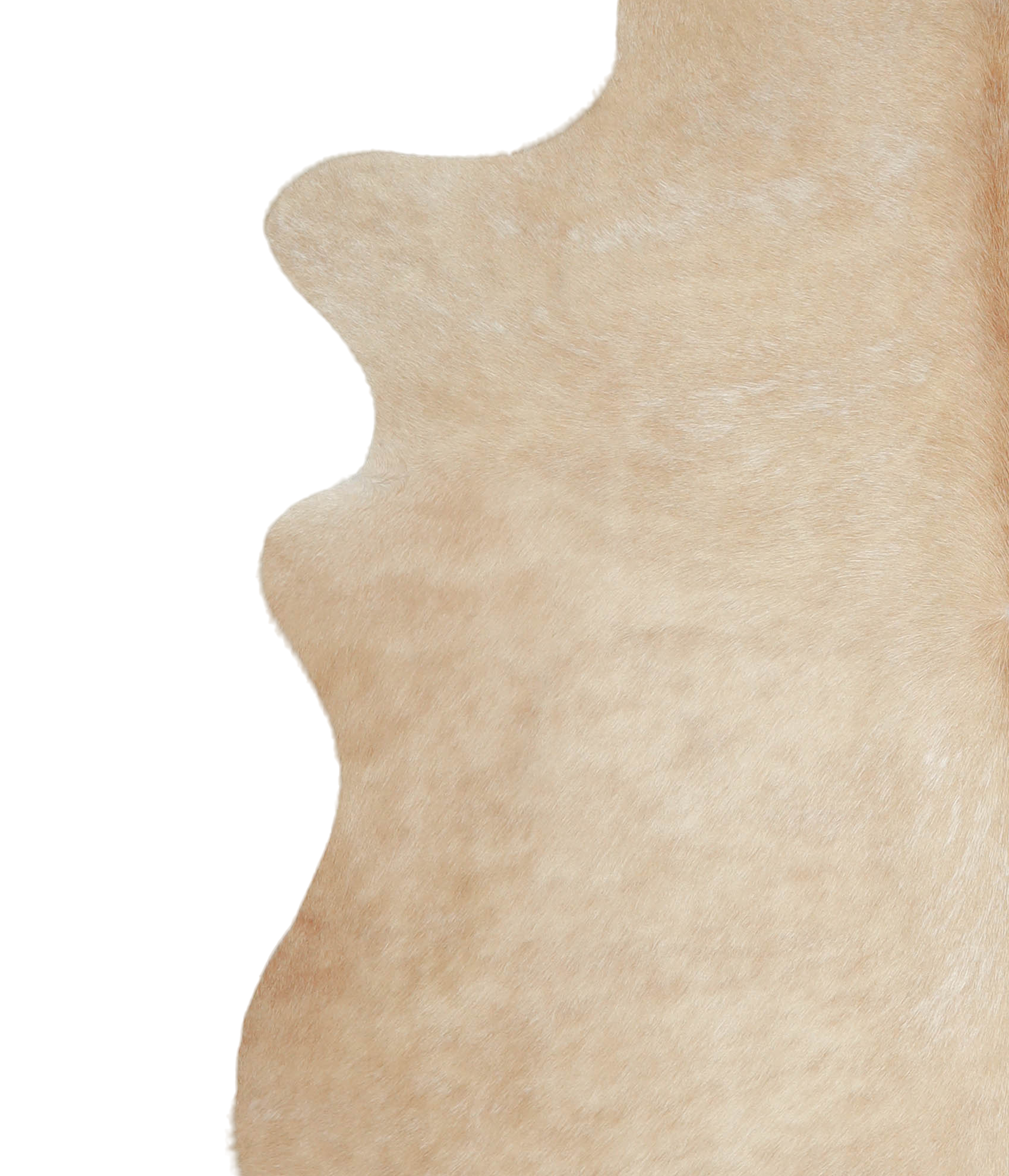 Palomino Cowhide Rug #A21063