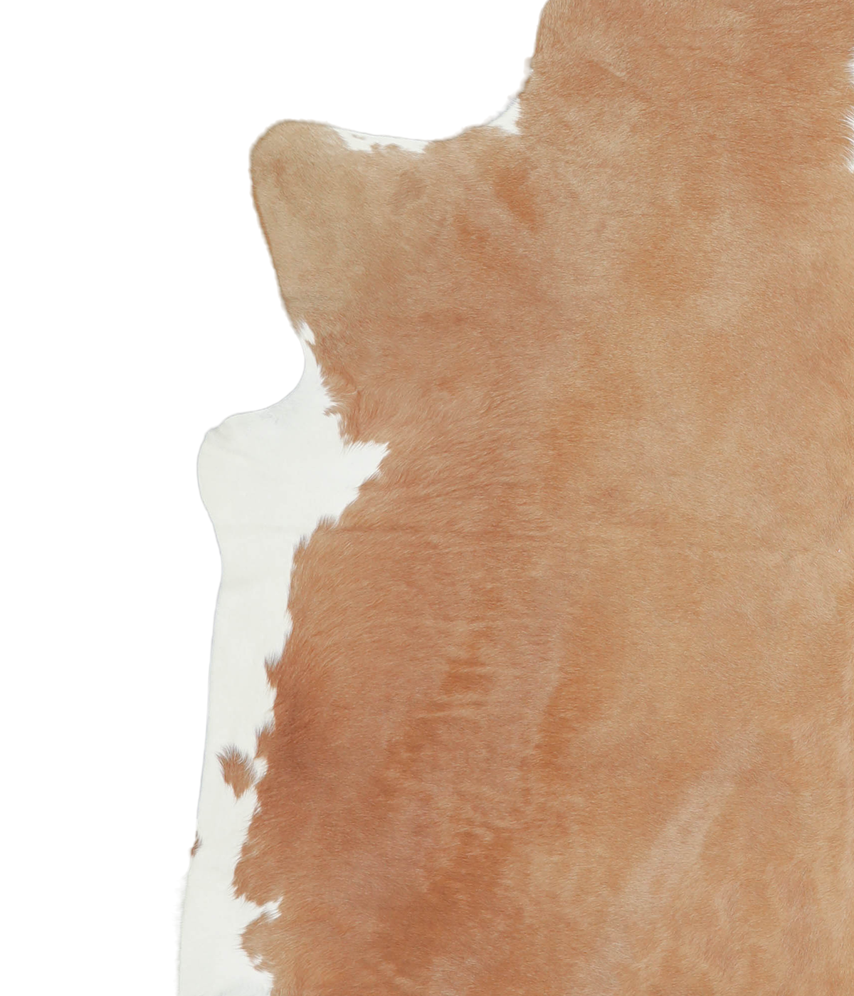 Beige and White XX-Large Brazilian Cowhide Rug 7'3"H x 6'11"W #A21069 by Hudson Hides