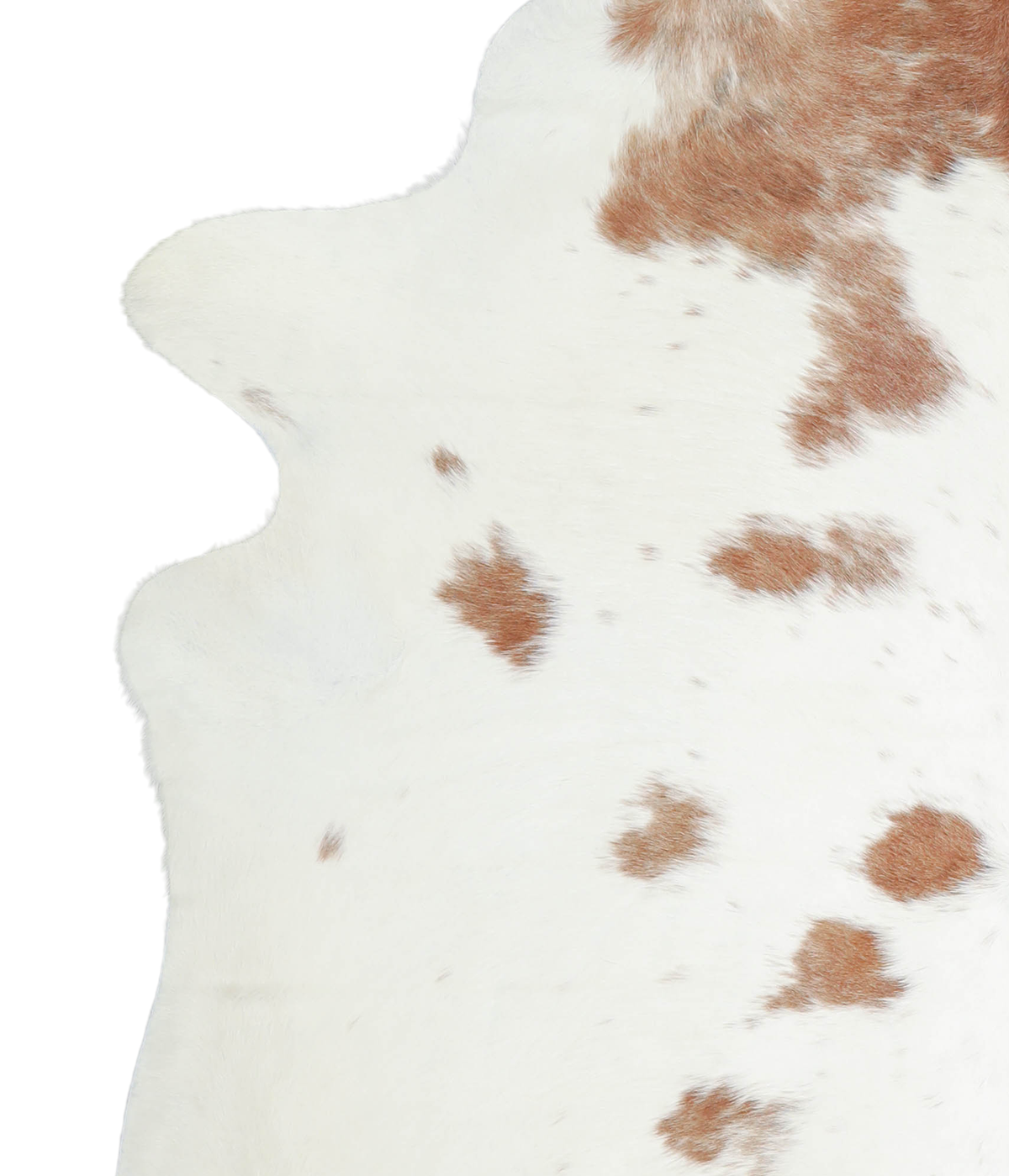 Brown and White XX-Large Brazilian Cowhide Rug 7'10"H x 6'11"W #A21079 by Hudson Hides