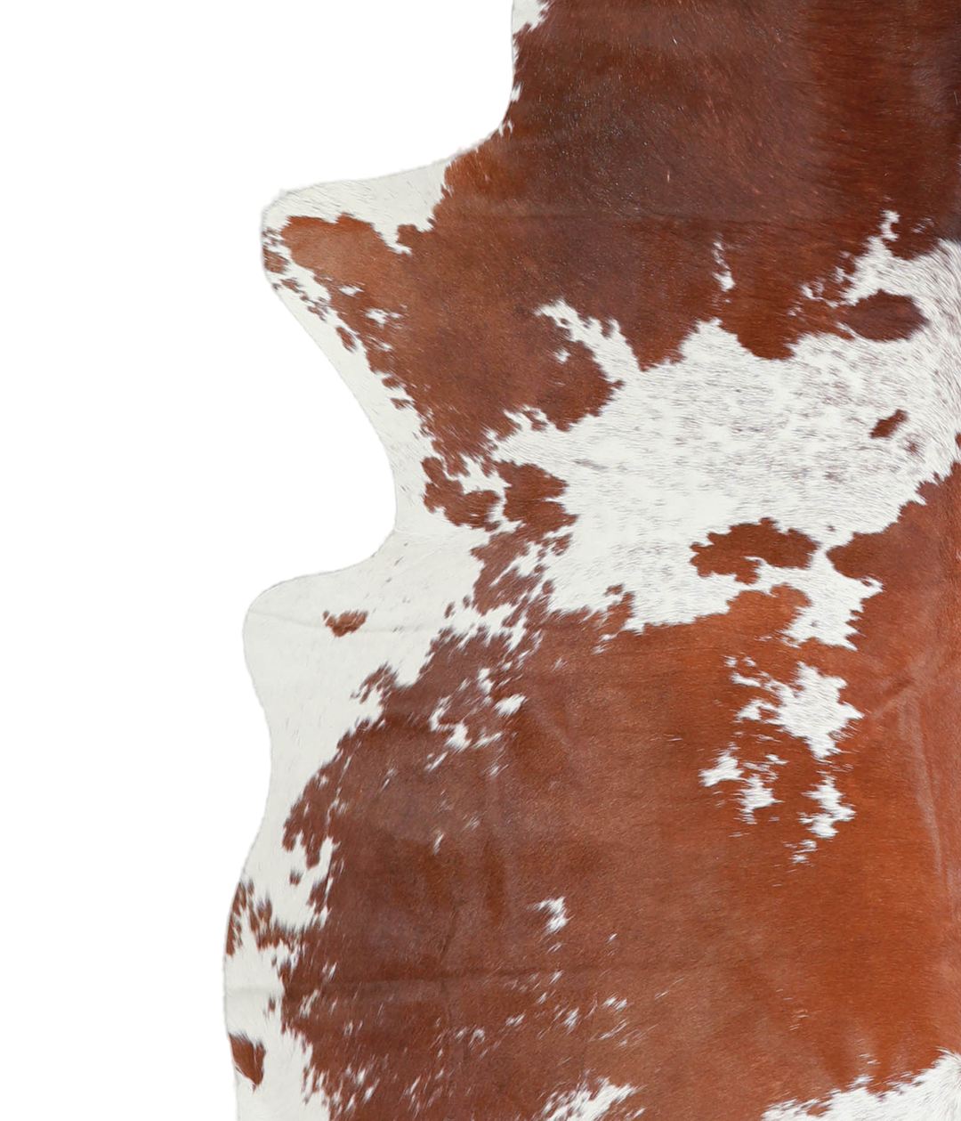 Brown and White X-Large Brazilian Cowhide Rug 6'8"H x 6'4"W #A21080 by