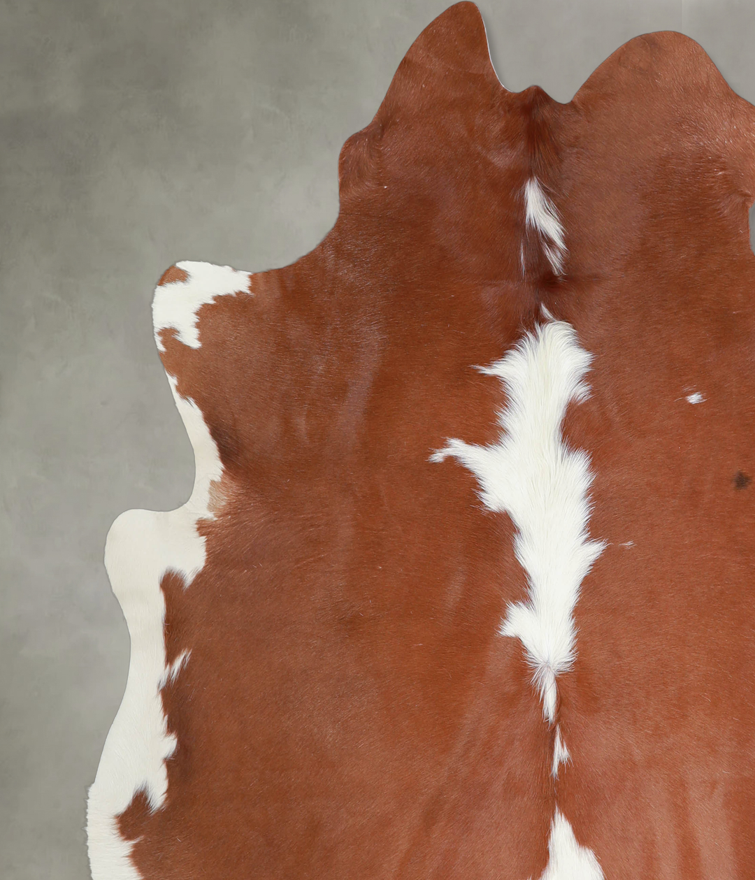 Brown and White X-Large Brazilian Cowhide Rug 6'2"H x 6'9"W #A21082 by