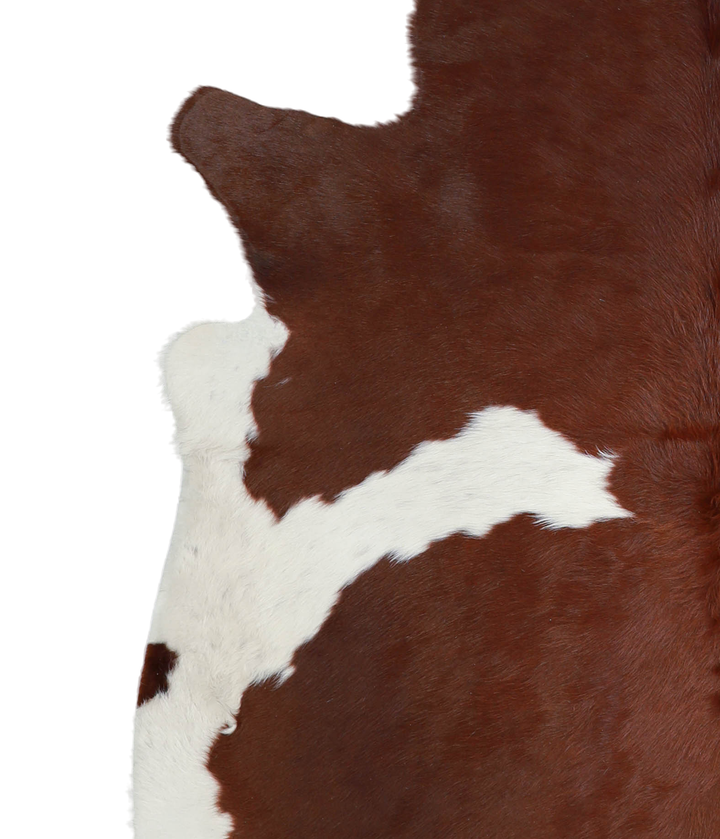 Brown and White X-Large Brazilian Cowhide Rug 6'8"H x 6'5"W #A21084 by Hudson Hides