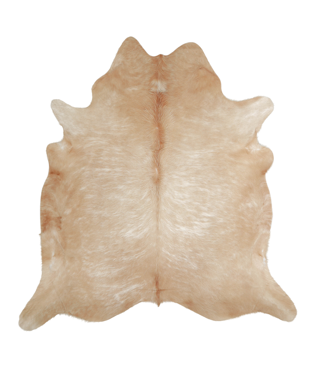 Beige XX-Large Brazilian Cowhide Rug 7'7"H x 7'1"W #A21107 by Hudson H