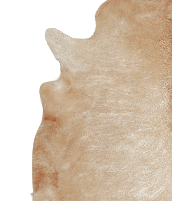Beige XX-Large Brazilian Cowhide Rug 7'7"H x 7'1"W #A21107 by Hudson Hides