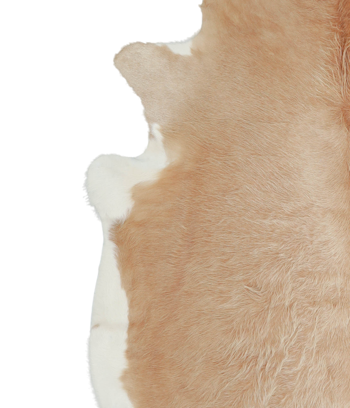 Beige and White XX-Large Brazilian Cowhide Rug 7'2"H x 6'11"W #A21108 by Hudson Hides