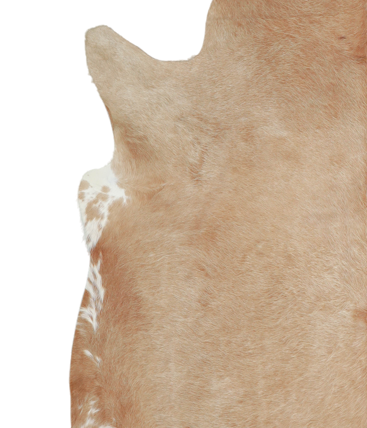 Beige XX-Large Brazilian Cowhide Rug 7'7"H x 6'11"W #A21109 by Hudson Hides