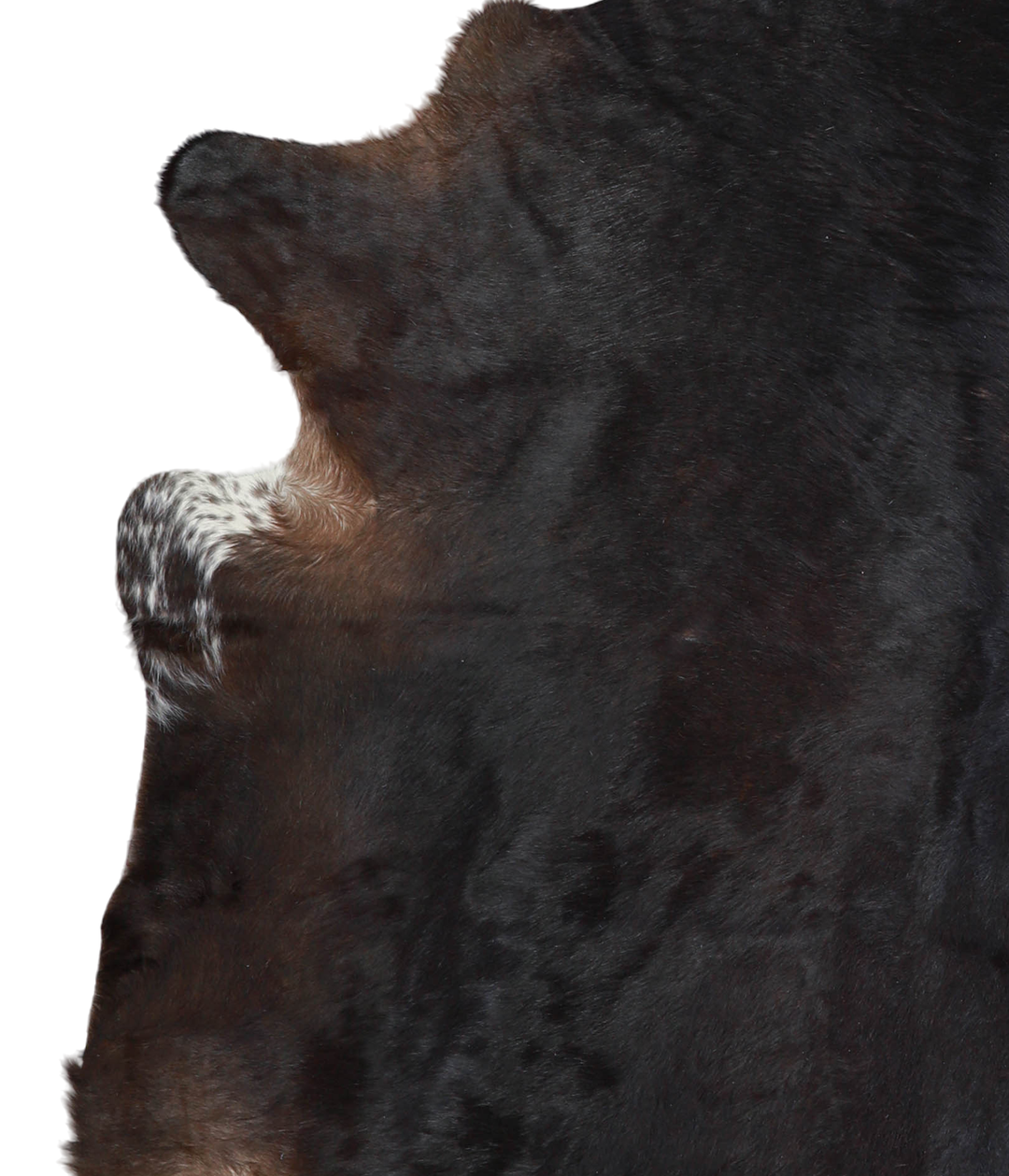 Chocolate X-Large Brazilian Cowhide Rug 7'0"H x 6'7"W #A21116 by Hudso