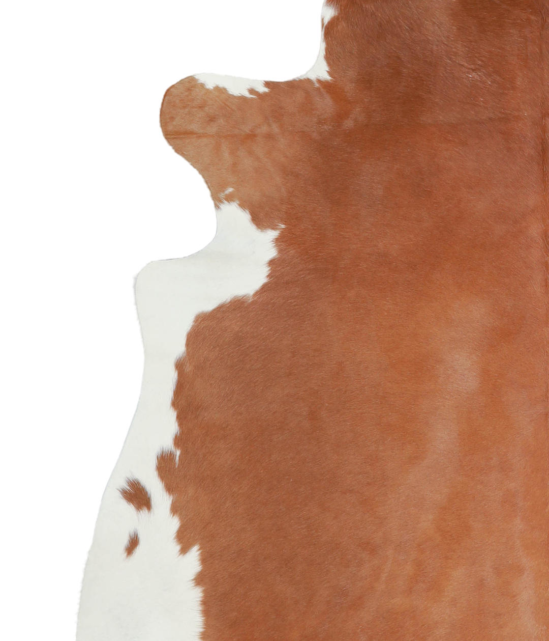 Brown and White Regular XX-Large Brazilian Cowhide Rug 7'9"H x 7'3"W #