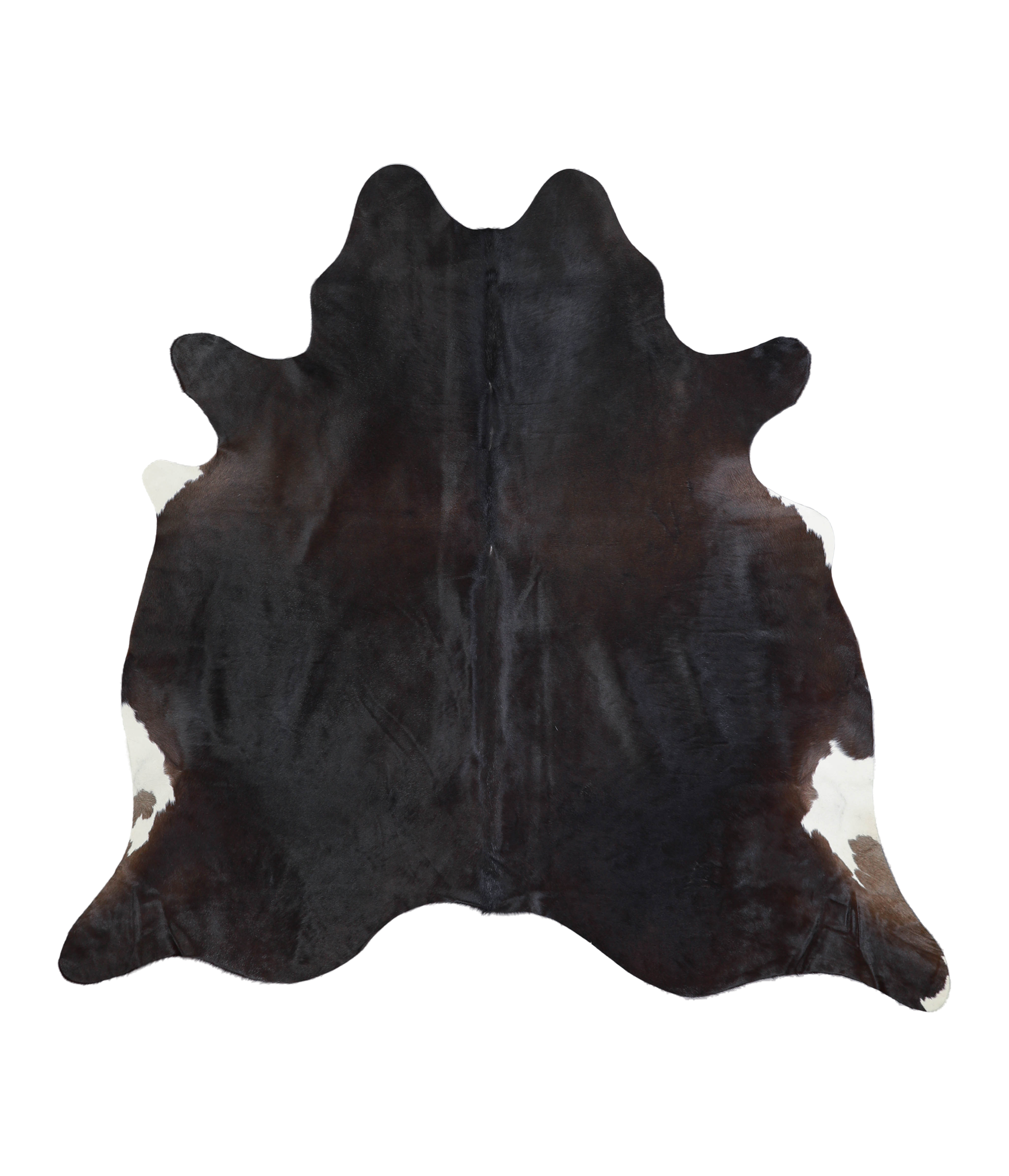 Solid Black Cowhide Rug #A21118