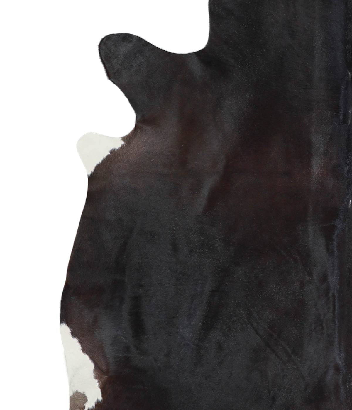 Solid Black XX-Large Brazilian Cowhide Rug 6'11"H x 7'3"W #A21118 by Hudson Hides