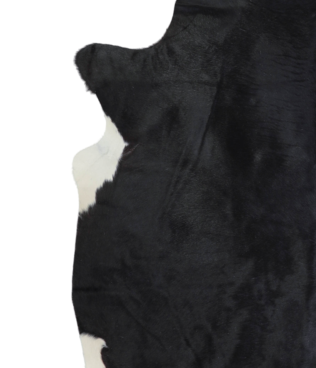 Solid Black X-Large Brazilian Cowhide Rug 7'3"H x 6'8"W #A21122 by Hud