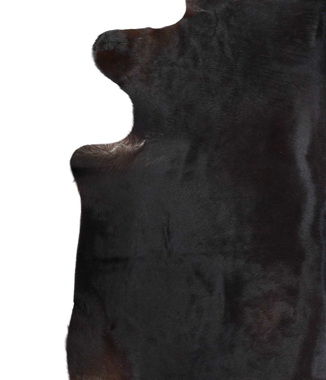 Solid Black XX-Large Brazilian Cowhide Rug 7'5"H x 7'0"W #A21124 by Hu