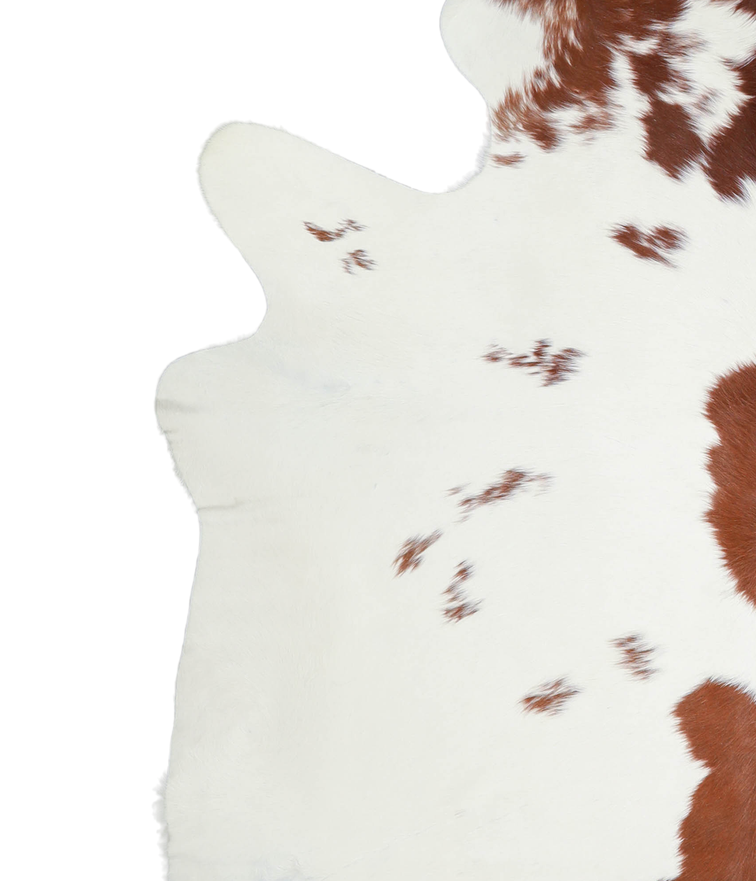 Brown and White XX-Large Brazilian Cowhide Rug 7'2"H x 6'11"W #A21144 