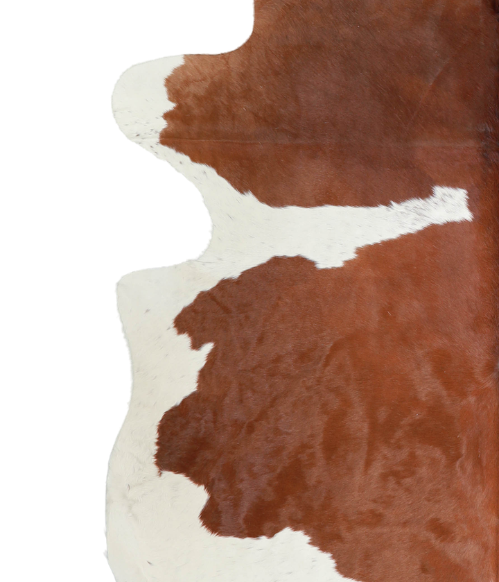 Brown and White XX-Large Brazilian Cowhide Rug 7'7"H x 7'3"W #A21145 by Hudson Hides