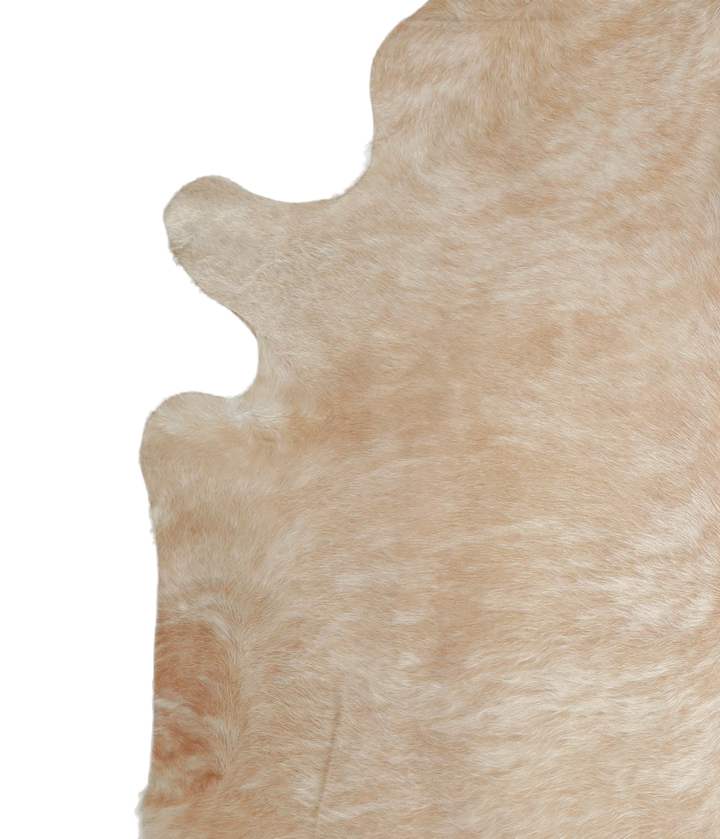 Beige XX-Large Brazilian Cowhide Rug 7'3"H x 7'0"W #A21154 by Hudson Hides